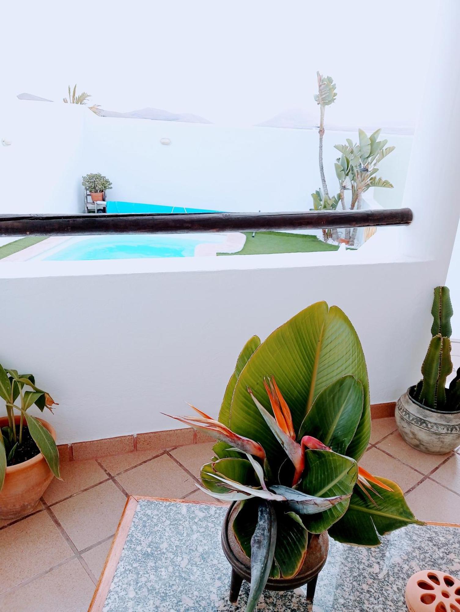 Casa Strelitzia Villa Nazaret Екстериор снимка