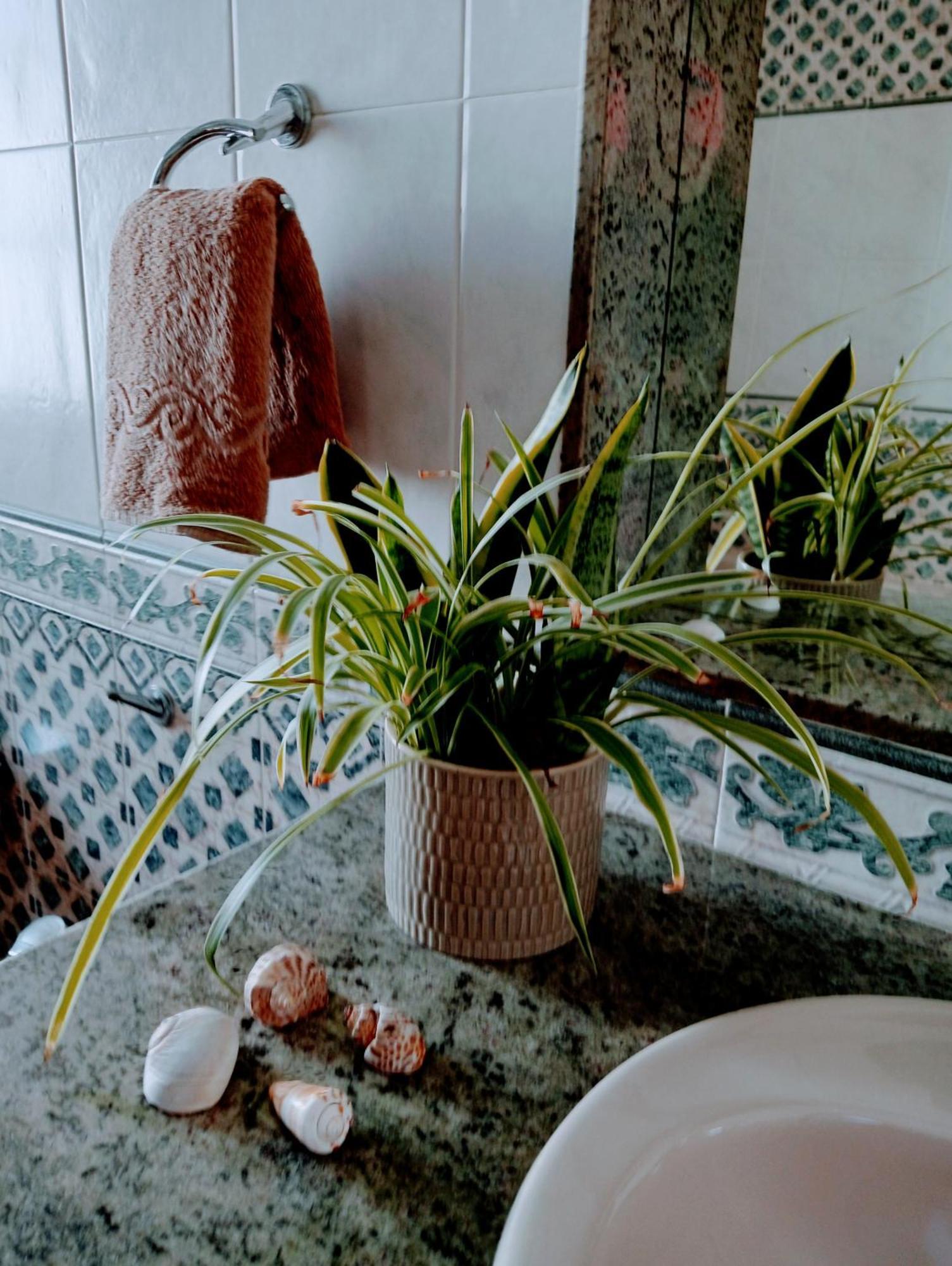 Casa Strelitzia Villa Nazaret Екстериор снимка